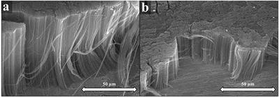 Growth of CNT Forests on Titanium Based Layers, Detailed Study of Catalysts